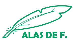 "Paracaidismo en Valencia con TuviTándem"